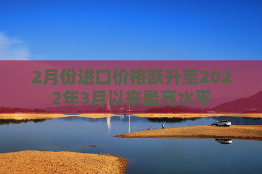 2月份进口价格跃升至2022年3月以来最高水平