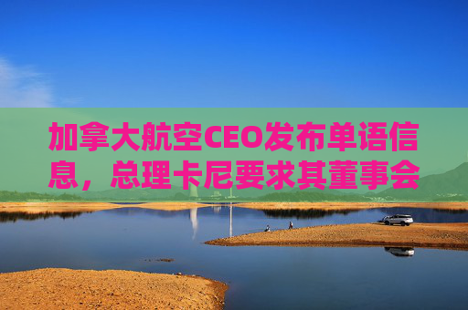 加拿大航空CEO发布单语信息，总理卡尼要求其董事会作出解释