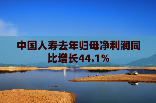 中国人寿去年归母净利润同比增长44.1%