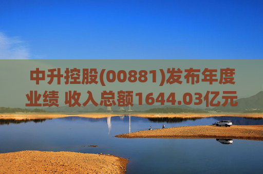 中升控股(00881)发布年度业绩 收入总额1644.03亿元 新车销售49.7万辆 同比增长2.5%