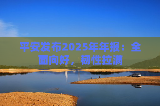 平安发布2025年年报：全面向好，韧性拉满