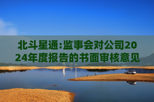 北斗星通:监事会对公司2024年度报告的书面审核意见