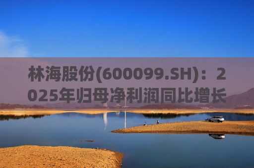 林海股份(600099.SH)：2025年归母净利润同比增长33.24%，每股拟派利0.045元