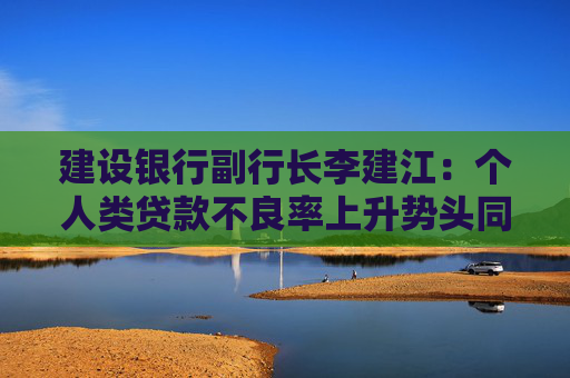 建设银行副行长李建江：个人类贷款不良率上升势头同比收窄，有希望、有把握保持资产质量稳定