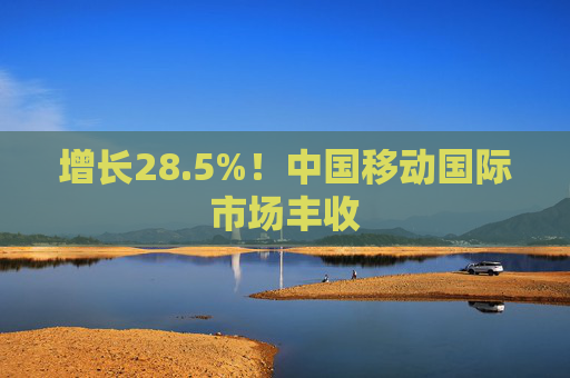 增长28.5%！中国移动国际市场丰收