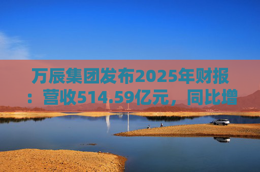 万辰集团发布2025年财报：营收514.59亿元，同比增长59.17%