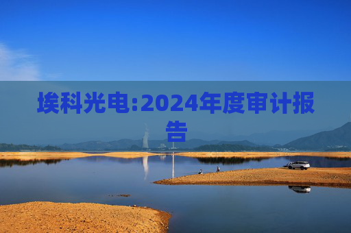 埃科光电:2024年度审计报告