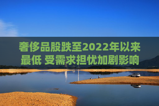 奢侈品股跌至2022年以来最低 受需求担忧加剧影响