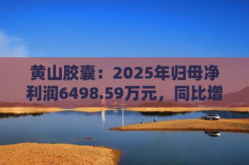 黄山胶囊：2025年归母净利润6498.59万元，同比增长31.94%
