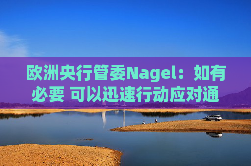 欧洲央行管委Nagel：如有必要 可以迅速行动应对通胀风险  第1张