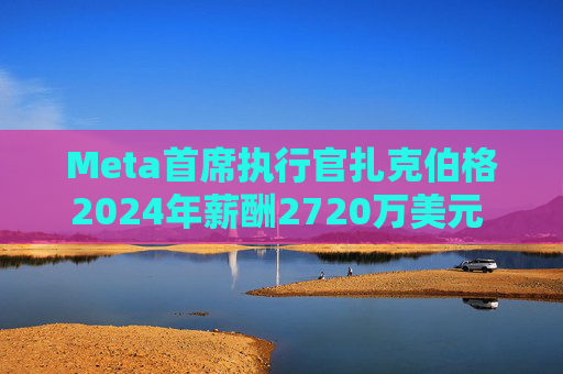Meta首席执行官扎克伯格2024年薪酬2720万美元 高于上年的2440万美元