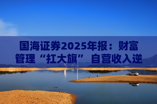 国海证券2025年报：财富管理“扛大旗” 自营收入逆势大降 投行收入占比仅2%