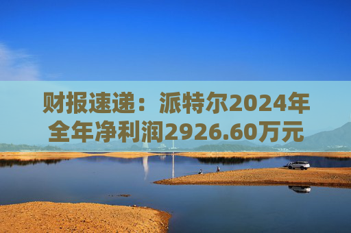 财报速递：派特尔2024年全年净利润2926.60万元