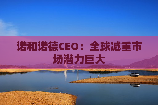 诺和诺德CEO：全球减重市场潜力巨大