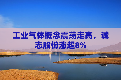 工业气体概念震荡走高，诚志股份涨超8%