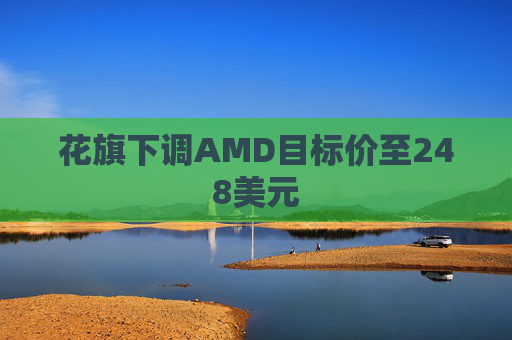 花旗下调AMD目标价至248美元