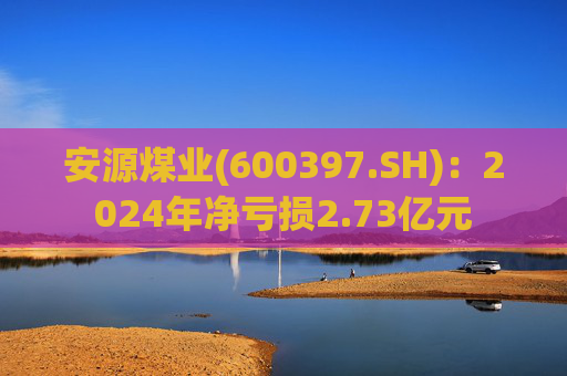 安源煤业(600397.SH)：2024年净亏损2.73亿元
