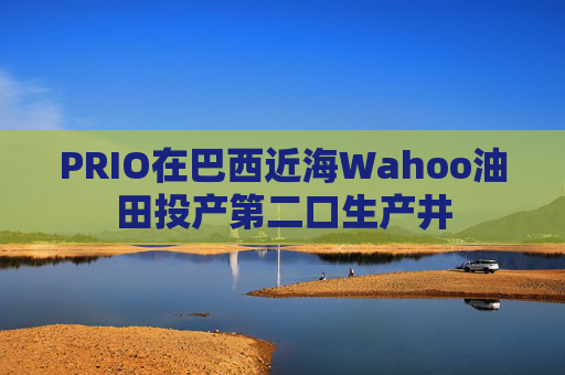 PRIO在巴西近海Wahoo油田投产第二口生产井  第1张