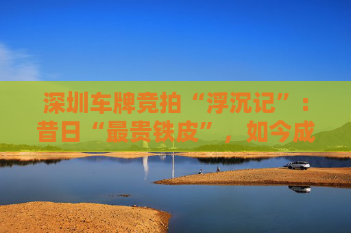 深圳车牌竞拍“浮沉记”：昔日“最贵铁皮”，如今成交价持续走低  第1张