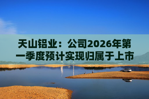 天山铝业：公司2026年第一季度预计实现归属于上市公司股东的净利润220000万元