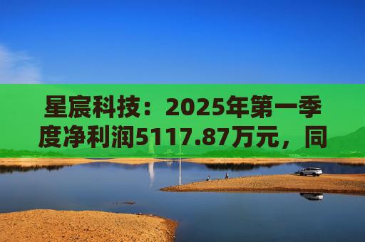 星宸科技：2025年第一季度净利润5117.87万元，同比增长0.48%