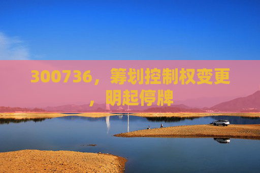 300736，筹划控制权变更，明起停牌