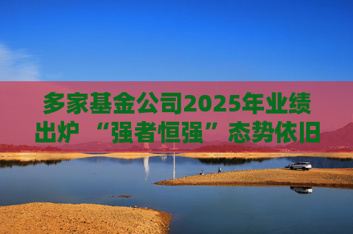 多家基金公司2025年业绩出炉 “强者恒强”态势依旧