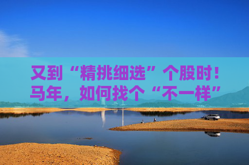 又到“精挑细选”个股时！马年，如何找个“不一样”的基金管理人替你出赛？