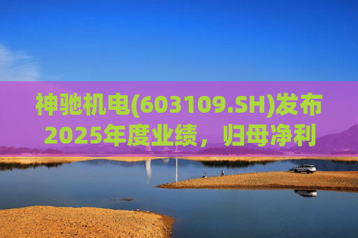 神驰机电(603109.SH)发布2025年度业绩，归母净利润1.34亿元，同比下降30.94%