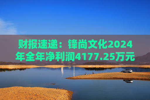 财报速递：锋尚文化2024年全年净利润4177.25万元  第1张
