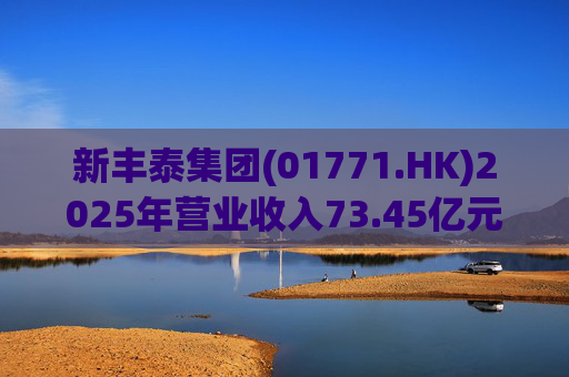 新丰泰集团(01771.HK)2025年营业收入73.45亿元，同比下降14.7%