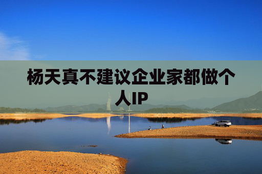 杨天真不建议企业家都做个人IP