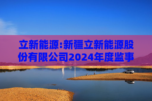 立新能源:新疆立新能源股份有限公司2024年度监事会工作报告