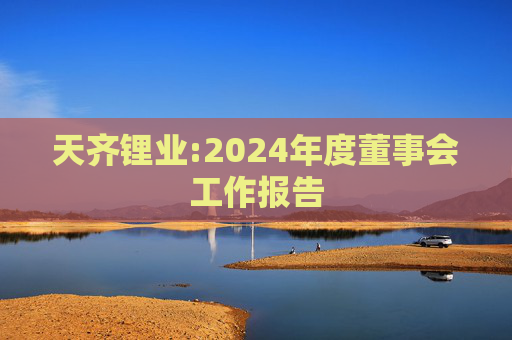 天齐锂业:2024年度董事会工作报告