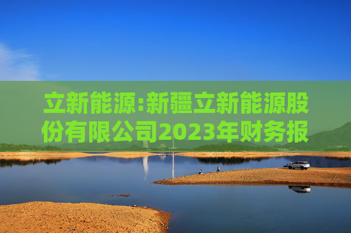 立新能源:新疆立新能源股份有限公司2023年财务报表审计报告书