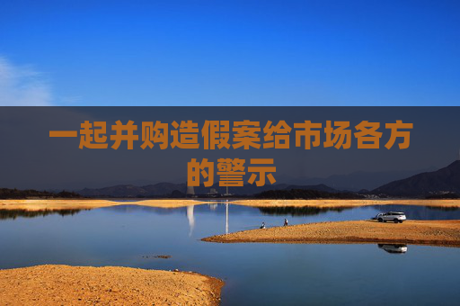 一起并购造假案给市场各方的警示