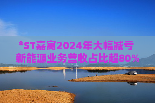 *ST嘉寓2024年大幅减亏 新能源业务营收占比超80%