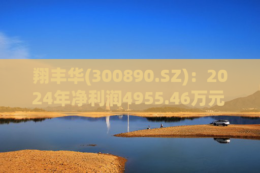 翔丰华(300890.SZ):2024年净利润4955.46万元 同比下降40.23%