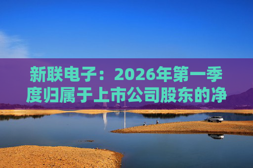 新联电子：2026年第一季度归属于上市公司股东的净利润是91152716.65元