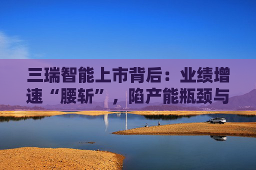 三瑞智能上市背后：业绩增速“腰斩”，陷产能瓶颈与贸易商依赖两大隐忧  第1张