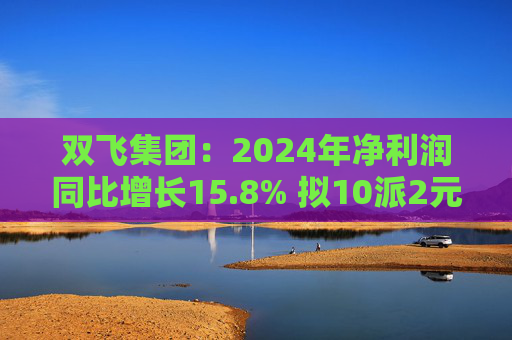 双飞集团:2024年净利润同比增长15.8% 拟10派2元