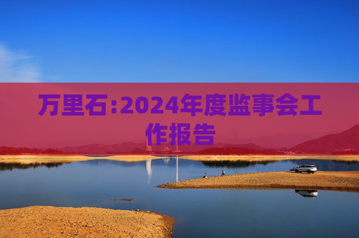 万里石:2024年度监事会工作报告