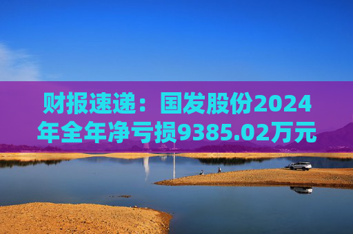 财报速递：国发股份2024年全年净亏损9385.02万元  第1张