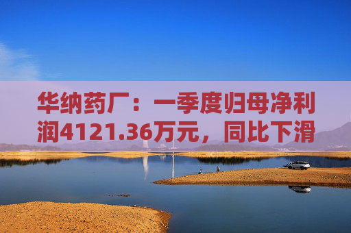 华纳药厂：一季度归母净利润4121.36万元，同比下滑31.37%