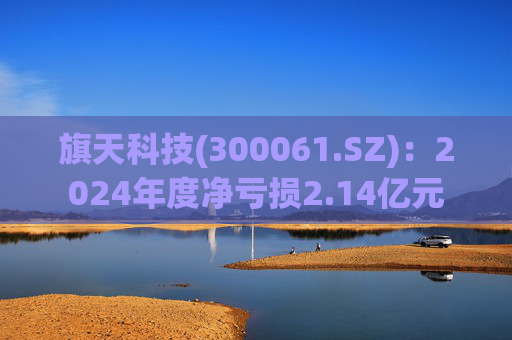 旗天科技(300061.SZ)：2024年度净亏损2.14亿元