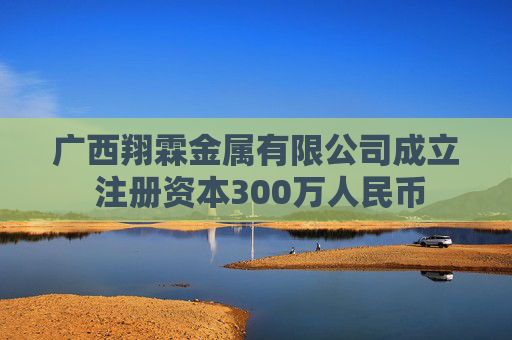 广西翔霖金属有限公司成立 注册资本300万人民币
