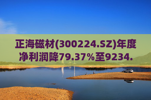 正海磁材(300224.SZ)年度净利润降79.37%至9234.02万元  高性能钕铁硼永磁材料销量实现连续七年增长