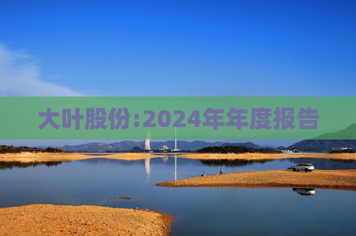 大叶股份:2024年年度报告