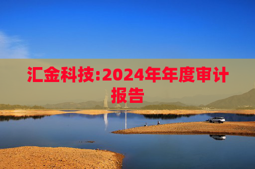 汇金科技:2024年年度审计报告