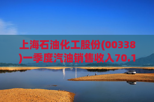 上海石油化工股份(00338)一季度汽油销售收入70.13亿元